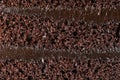 Texture of chocolate sponge cake Royalty Free Stock Photo