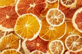 Texture of citrus. Dried slices of oranges, lemons, grapefruits. Bright background.