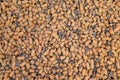 Texture of clay pebbles lightweight expanded clay aggregate Royalty Free Stock Photo