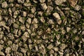 Texture background wallpaper of grey stones among green grass Royalty Free Stock Photo