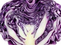 Texture of close-up fresh purple cabbage cut in half Royalty Free Stock Photo