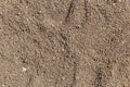 The texture of coarse sand on the beach Royalty Free Stock Photo