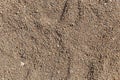 The texture of coarse sand on the beach