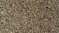 Texture of coarse sea sand close-up, small pebbles. For design, background, postcards Royalty Free Stock Photo