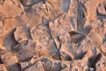 Texture of coastal rocks. Close-Up