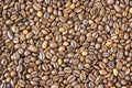 Texture coffee beans Royalty Free Stock Photo