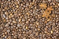 Texture coffee beans Royalty Free Stock Photo