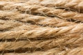 Texture of the coiled rope Royalty Free Stock Photo