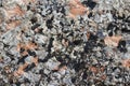 Texture and colour of rock Royalty Free Stock Photo