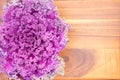 Texture of colourful curly-leaf purple kale Royalty Free Stock Photo