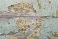 Texture / compositing: Flaking, peeling, old blue and cream paint on wood. 23 Royalty Free Stock Photo