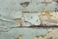 Texture / compositing: Flaking, peeling, old blue and cream paint on wood. 20 Royalty Free Stock Photo