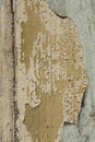 Texture / compositing: Flaking, peeling, old blue and cream paint on wood. 26 Royalty Free Stock Photo