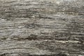 Texture / compositing: Flaking, peeling white paint on cracked wood. 6 Royalty Free Stock Photo