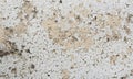 Texture / compositing: Flaking, peeling white paint on stone. 10
