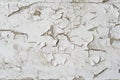 Texture / compositing: Flaking, peeling white paint on wood. 7