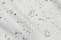 The texture of the concrete, the old white wall with the cat`s paw prints, shadows, cracks and scratches Abstract background Royalty Free Stock Photo