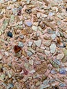 Texture. The concrete surface is pink with colored pebbles of various shapes
