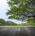Texture of concrete terrace over Beautiful blur nature view of green big tree on blurred greenery background.