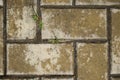 The texture of concrete tiles with grass Royalty Free Stock Photo