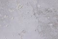Texture concrete wall with putty. A thin layer of putty. White putty on a gray wall Royalty Free Stock Photo