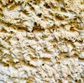 The texture of the concrete wall is sandy yellow. uneven bumpy surface close to the background