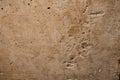 The texture of the concrete walls, repair walls Royalty Free Stock Photo