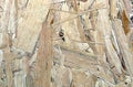 Texture of construction material sheet OSB Royalty Free Stock Photo