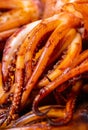 Texture of cooked squid close-up Royalty Free Stock Photo