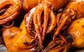 Texture of cooked squid close-up Royalty Free Stock Photo