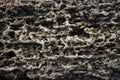 The texture of the coquina macro photo. Beautiful natural background natural shell rock close-up. Spongy structure of