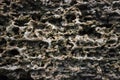 The texture of the coquina macro photo. Beautiful natural background natural shell rock close-up. Spongy structure of