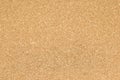 Texture of corkboard Royalty Free Stock Photo