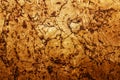 Texture of corkwood decoration material