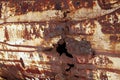 A texture of a corrosion pitting of rusty metal and a hole