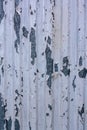 Texture corrugated metal surface with old white paint. Royalty Free Stock Photo