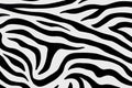 The texture of the countertops Zebra