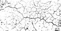 abstract black and white grunge of a cracked wall cracked cracked texture background, dried dusty effect crackle Royalty Free Stock Photo