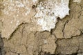 Texture of a cracked adobe wall Royalty Free Stock Photo