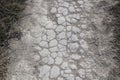 Texture of cracked chalk road. Background from cretaceous road