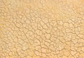 Texture of cracked clay on dried river bed Royalty Free Stock Photo