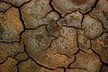 Texture of cracked dried soil. Dry ground with cracks. Brown rough surface of the soil during summer drought Royalty Free Stock Photo