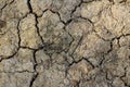 Texture of cracked dried soil. Dry ground with cracks. Climate change and global warming on Earth Royalty Free Stock Photo