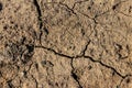 Texture of cracked dry ground for background Royalty Free Stock Photo