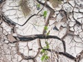 Texture of Cracked Dry Soil or Ground at the Field During the Day Royalty Free Stock Photo