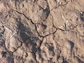 Texture of Cracked Dry Soil or Ground at the Field During the Day Royalty Free Stock Photo