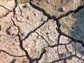 Texture of Cracked Dry Soil or Ground at the Field During the Day Royalty Free Stock Photo