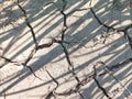 Texture of Cracked Dry Soil or Ground at the Field During the Day Royalty Free Stock Photo