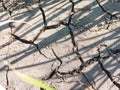 Texture of Cracked Dry Soil or Ground at the Field During the Day Royalty Free Stock Photo