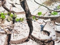 Texture of Cracked Dry Soil or Ground at the Field During the Day Royalty Free Stock Photo